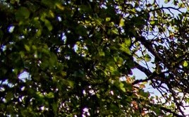 fast online payday loans bad credit